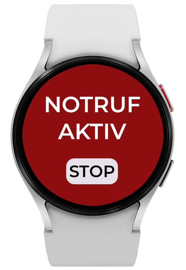 Was passiert nach dem Auslösen des Notrufs